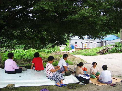 느티나무 아래서 아주머니들이 모여 소일하고 있다. 